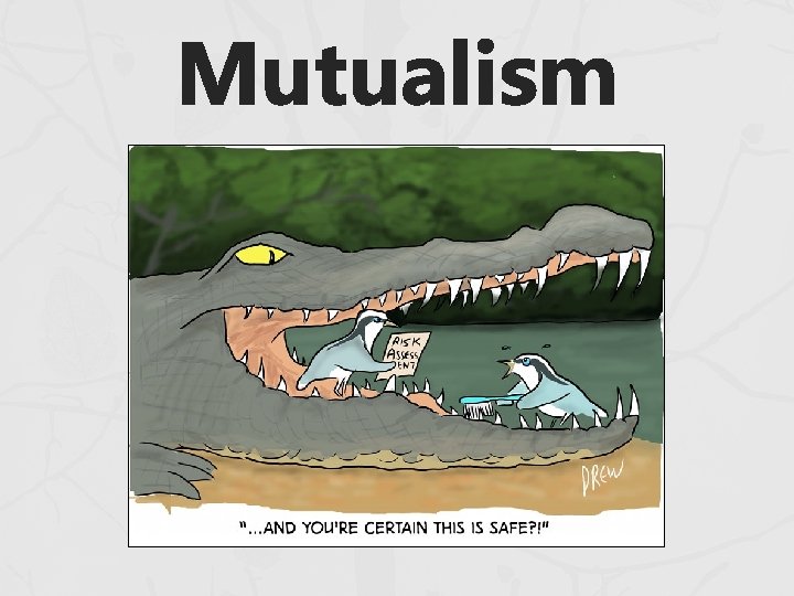 Mutualism 