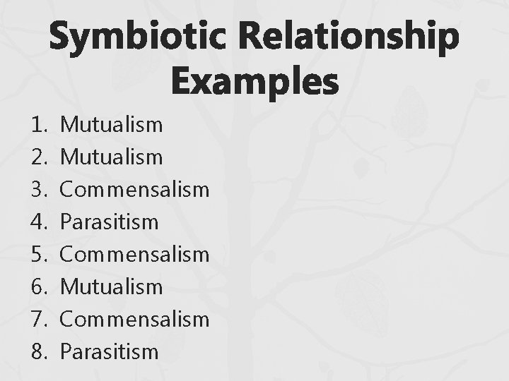 Symbiotic Relationship Examples 1. 2. 3. 4. 5. 6. 7. 8. Mutualism Commensalism Parasitism