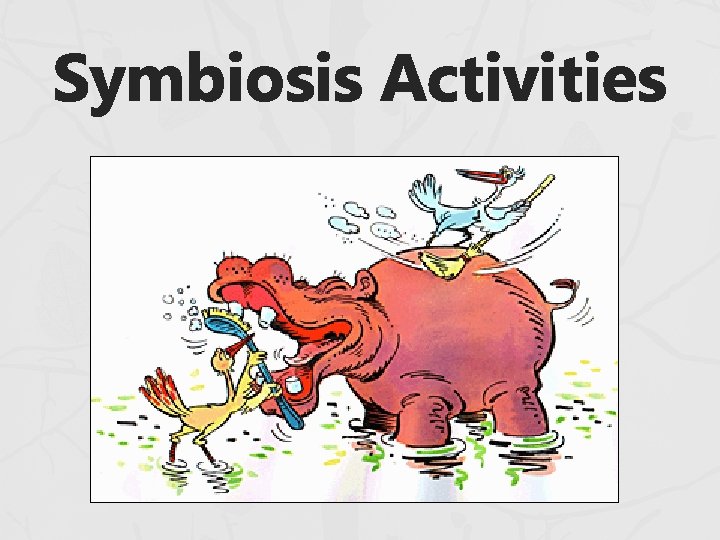 Symbiosis Activities 
