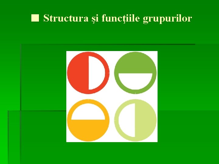 ■ Structura şi funcţiile grupurilor 