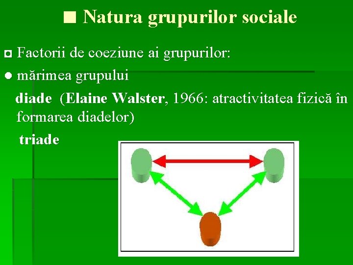 ■ Natura grupurilor sociale ◘ Factorii de coeziune ai grupurilor: ● mărimea grupului diade
