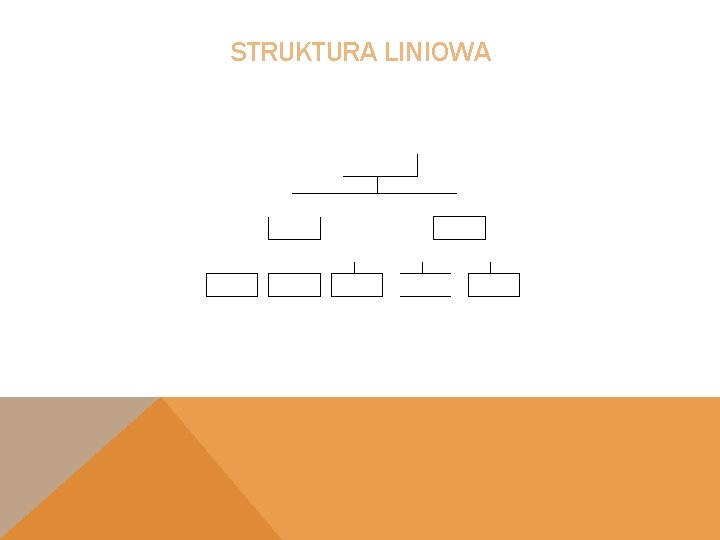 STRUKTURA LINIOWA 