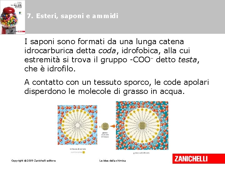 7. Esteri, saponi e ammidi I saponi sono formati da una lunga catena idrocarburica 7. Esteri, saponi e ammidi I saponi sono formati da una lunga catena idrocarburica