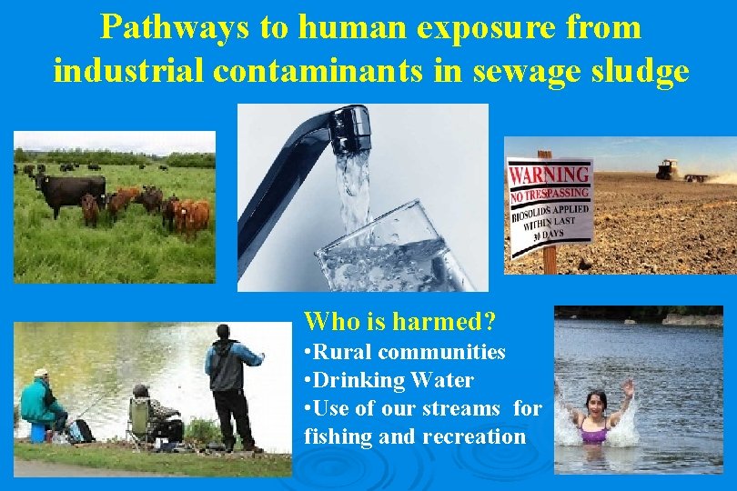Pathways to human exposure from industrial contaminants in sewage sludge Who is harmed? •