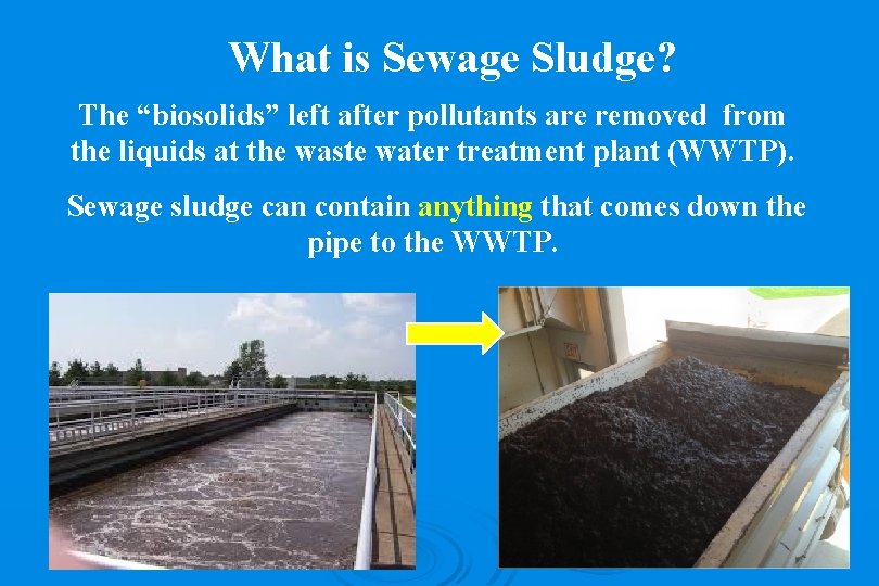 What is Sewage Sludge? The “biosolids” left after pollutants are removed from the liquids