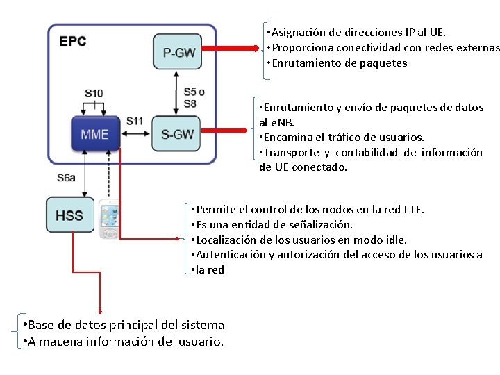  • Asignación de direcciones IP al UE. • Proporciona conectividad con redes externas.