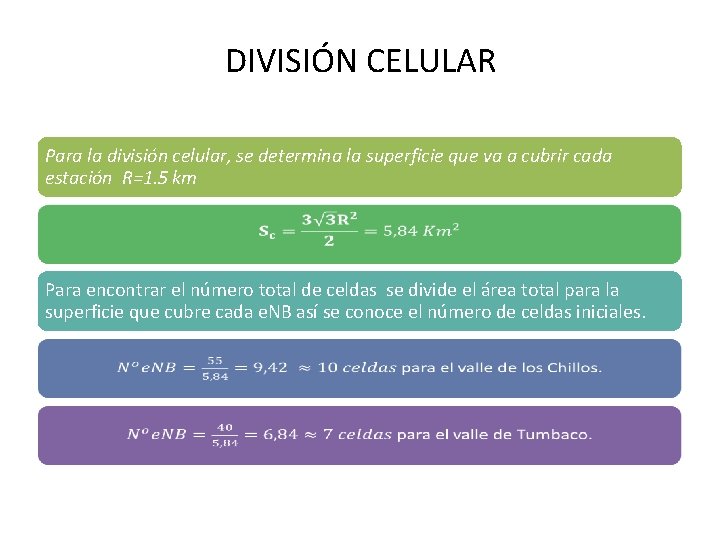 DIVISIÓN CELULAR Para la división celular, se determina la superficie que va a cubrir