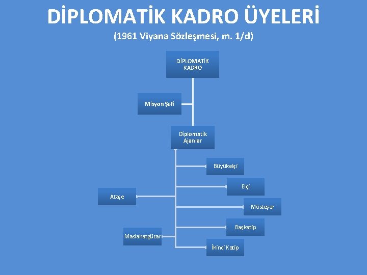 DİPLOMATİK KADRO ÜYELERİ (1961 Viyana Sözleşmesi, m. 1/d) DİPLOMATİK KADRO Misyon Şefi Diplomatik Ajanlar