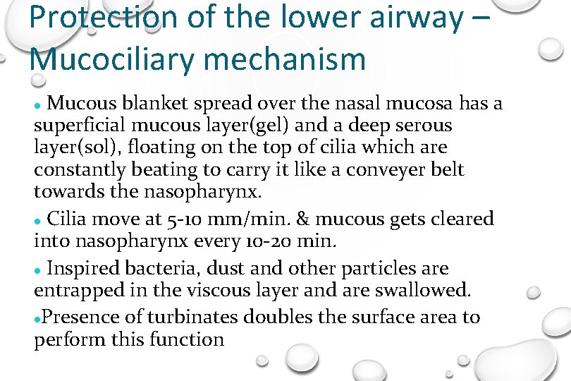 Protection of the lower airway – Mucociliary mechanism Mucous blanket spread over the nasal