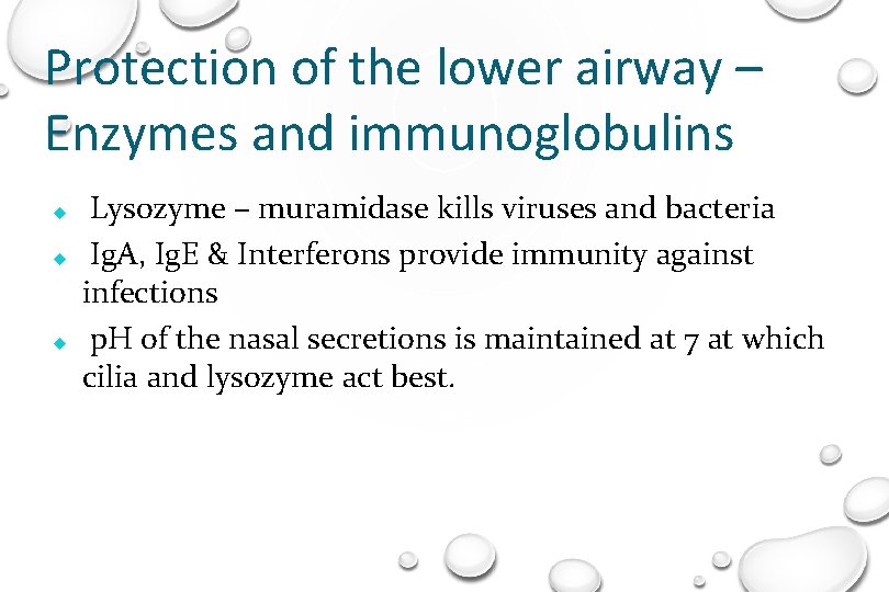 Protection of the lower airway – Enzymes and immunoglobulins Lysozyme – muramidase kills viruses