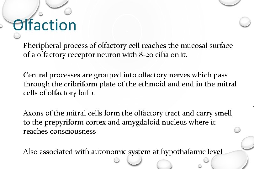 Olfaction Pheripheral process of olfactory cell reaches the mucosal surface of a olfactory receptor