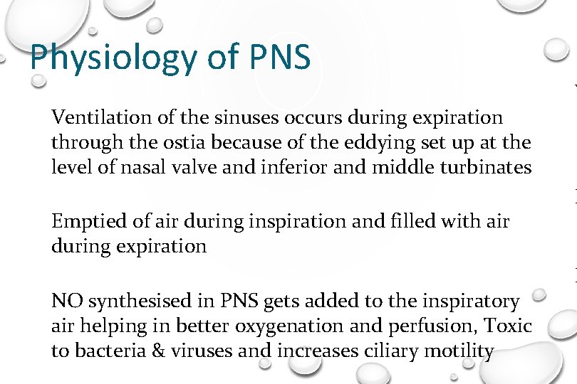 Physiology of PNS Ventilation of the sinuses occurs during expiration through the ostia because