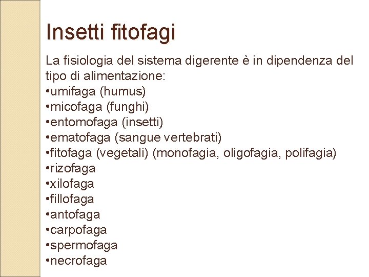 Insetti fitofagi La fisiologia del sistema digerente è in dipendenza del tipo di alimentazione: Insetti fitofagi La fisiologia del sistema digerente è in dipendenza del tipo di alimentazione: