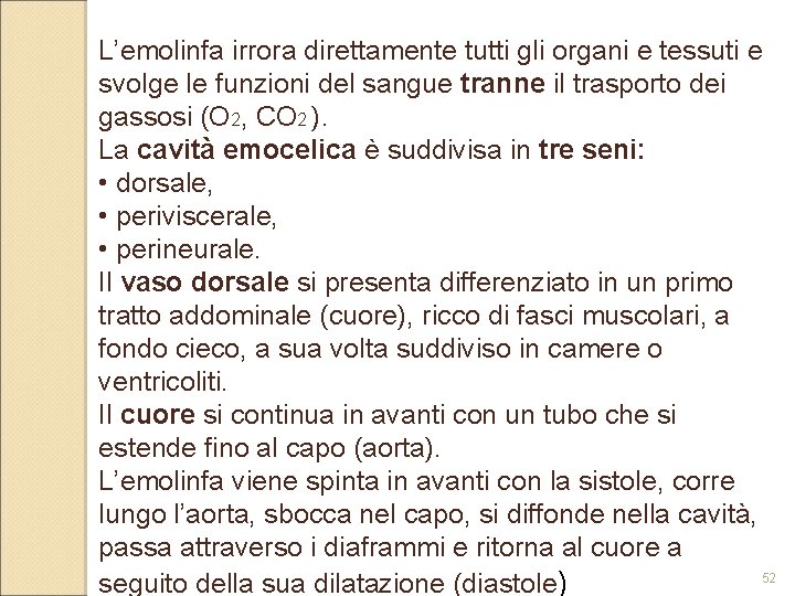 L’emolinfa irrora direttamente tutti gli organi e tessuti e svolge le funzioni del sangue