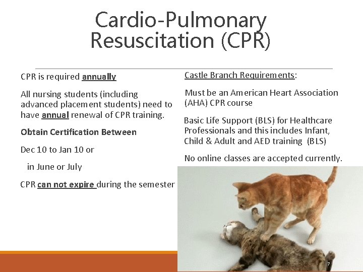 Cardio-Pulmonary Resuscitation (CPR) CPR is required annually Castle Branch Requirements: All nursing students (including