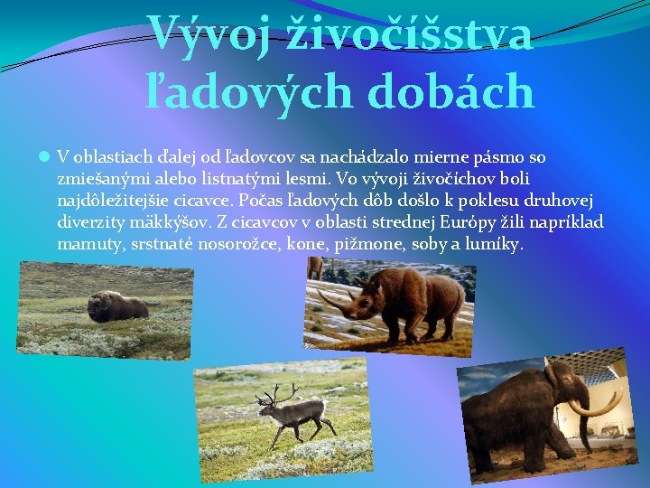 Vývoj živočíšstva ľadových dobách l V oblastiach ďalej od ľadovcov sa nachádzalo mierne pásmo