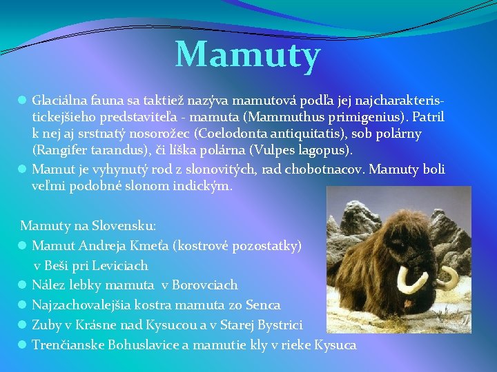  Mamuty l Glaciálna fauna sa taktiež nazýva mamutová podľa jej najcharakteristickejšieho predstaviteľa -
