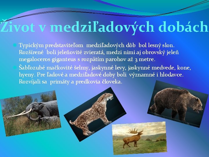 Život v medziľadových dobách l Typickým predstaviteľom medziľadových dôb bol lesný slon. Rozšírené boli