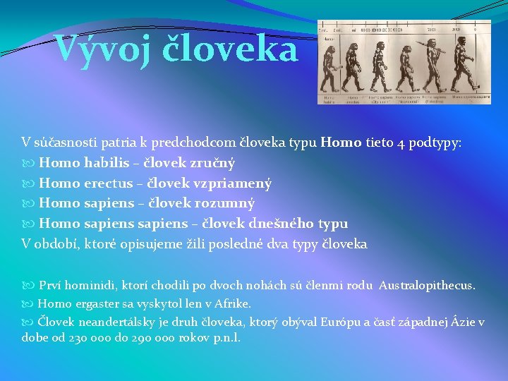 Vývoj človeka V súčasnosti patria k predchodcom človeka typu Homo tieto 4 podtypy: Homo