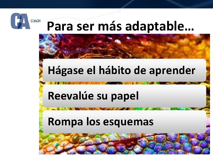 Para ser más adaptable… Hágase el hábito de aprender Reevalúe su papel Rompa los