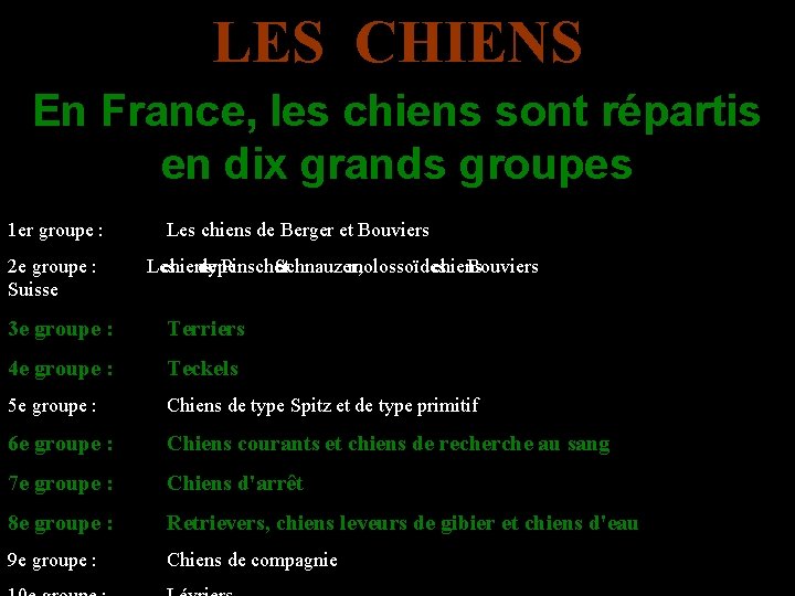 LES CHIENS En France, les chiens sont répartis en dix grands groupes 1 er