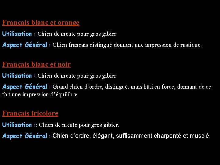 Français blanc et orange Utilisation : Chien de meute pour gros gibier. Aspect Général