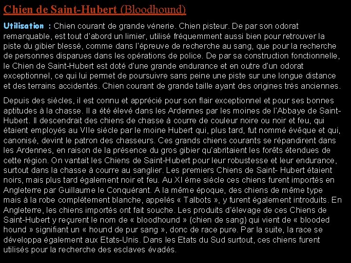 Chien de Saint-Hubert (Bloodhound) Utilisation : Chien courant de grande vénerie. Chien pisteur. De