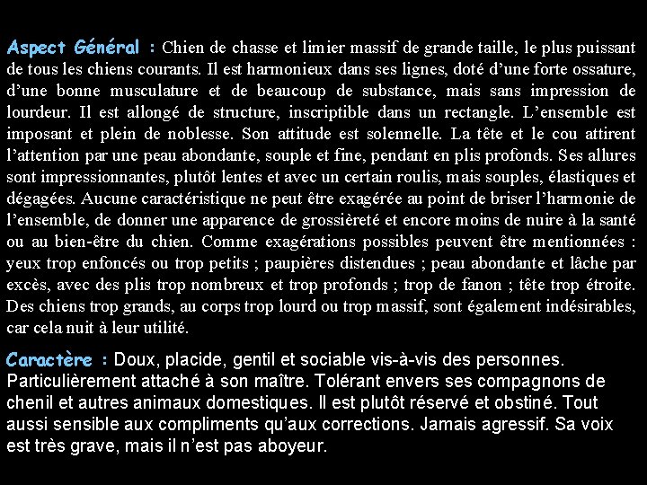 Aspect Général : Chien de chasse et limier massif de grande taille, le plus