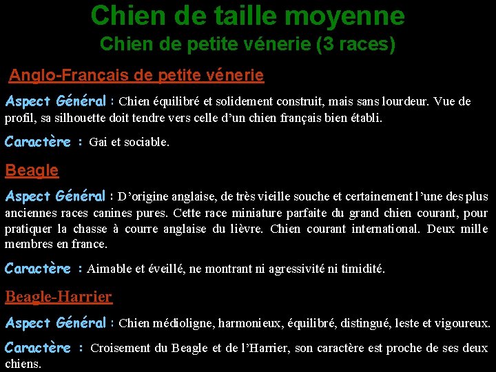 Chien de taille moyenne Chien de petite vénerie (3 races) Anglo-Français de petite vénerie