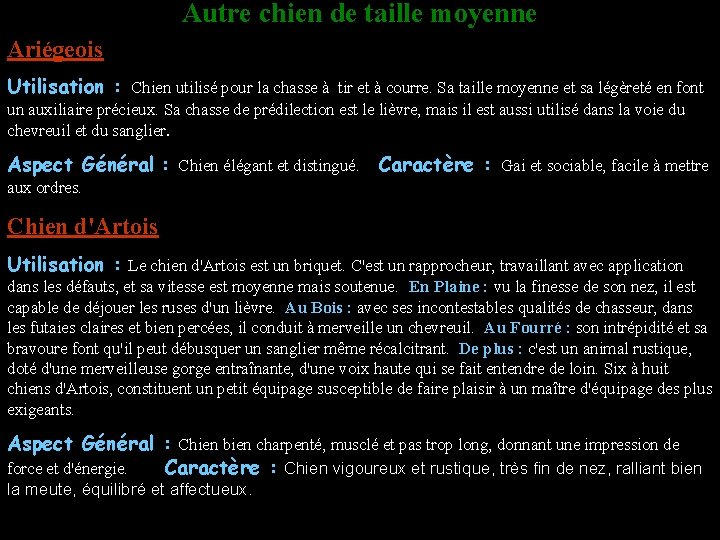 Autre chien de taille moyenne Ariégeois Utilisation : Chien utilisé pour la chasse à
