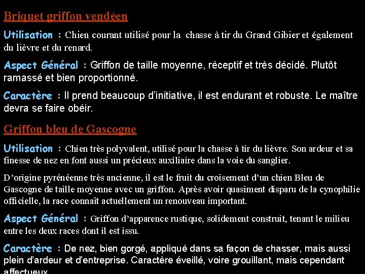 Briquet griffon vendéen Utilisation : Chien courant utilisé pour la chasse à tir du