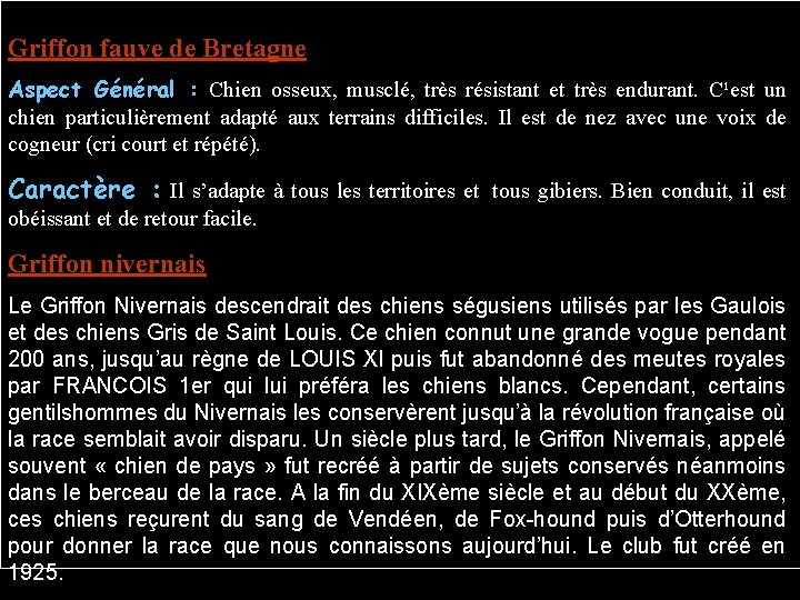 Griffon fauve de Bretagne Aspect Général : Chien osseux, musclé, très résistant et très