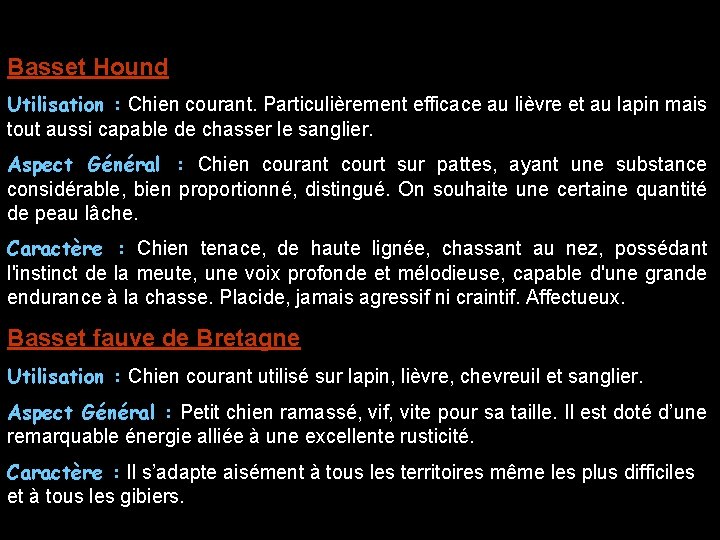 Basset Hound Utilisation : Chien courant. Particulièrement efficace au lièvre et au lapin mais