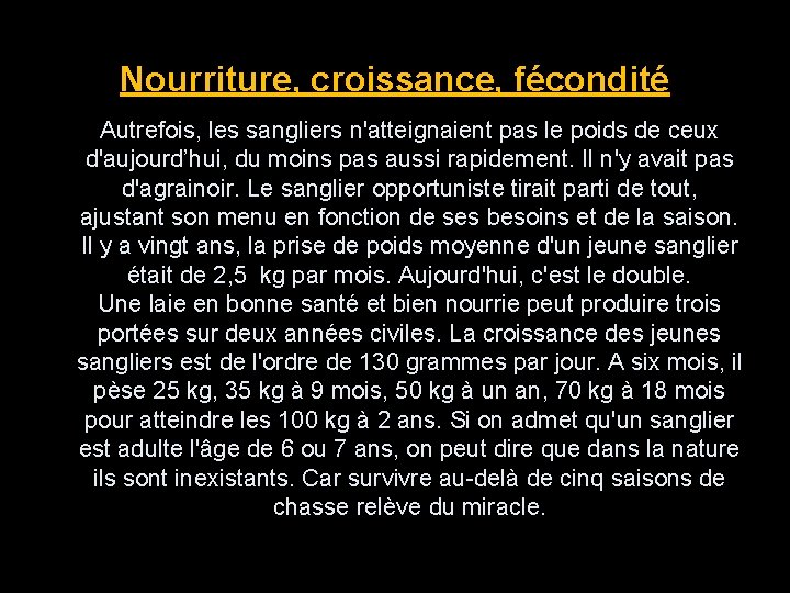 Nourriture, croissance, fécondité Autrefois, les sangliers n'atteignaient pas le poids de ceux d'aujourd’hui, du