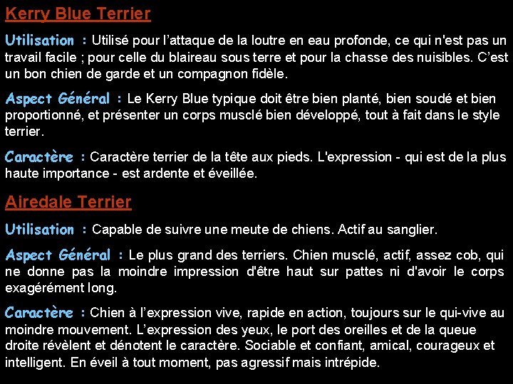 Kerry Blue Terrier Utilisation : Utilisé pour l’attaque de la loutre en eau profonde,
