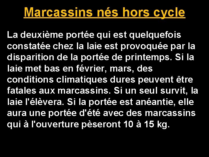 Marcassins nés hors cycle La deuxième portée qui est quelquefois constatée chez la laie