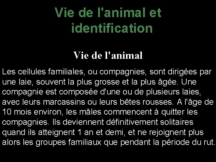 Vie de l'animal et identification Vie de l'animal Les cellules familiales, ou compagnies, sont