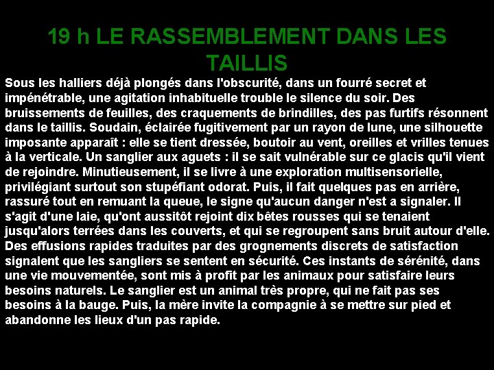 19 h LE RASSEMBLEMENT DANS LES TAILLIS Sous les halliers déjà plongés dans l'obscurité,