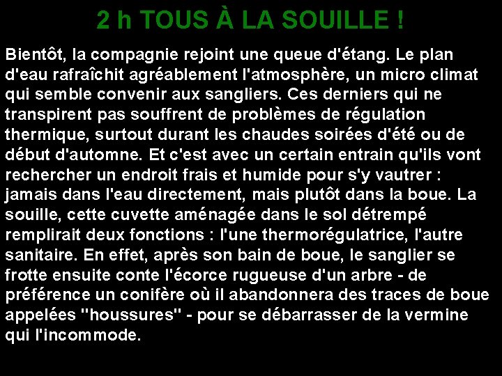 2 h TOUS À LA SOUILLE ! Bientôt, la compagnie rejoint une queue d'étang.