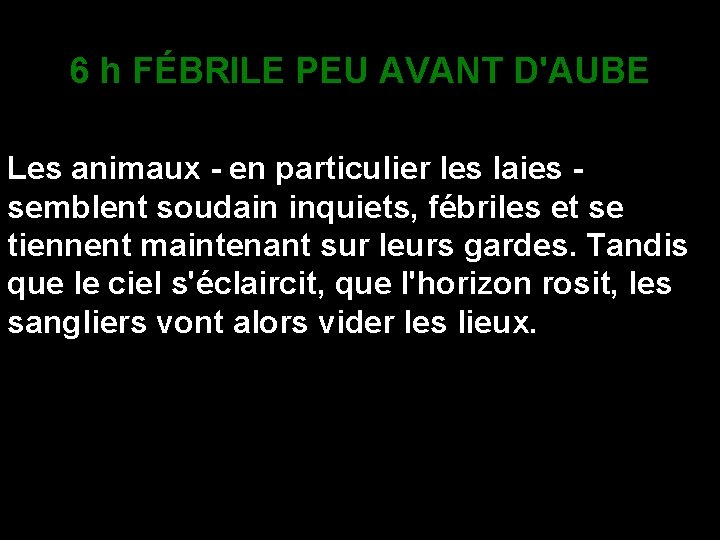 6 h FÉBRILE PEU AVANT D'AUBE Les animaux - en particulier les laies -