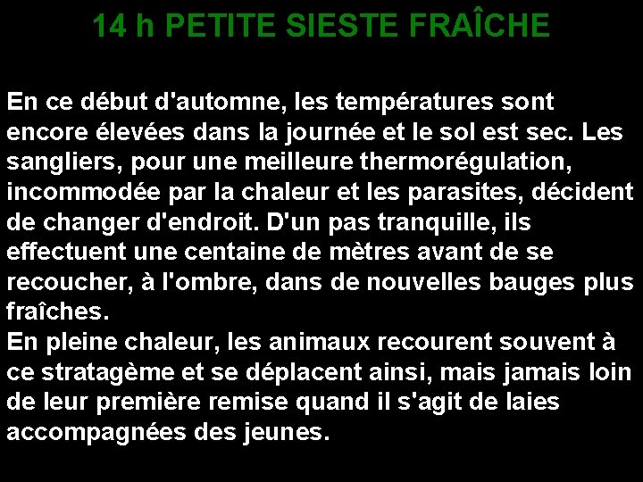 14 h PETITE SIESTE FRAÎCHE En ce début d'automne, les températures sont encore élevées