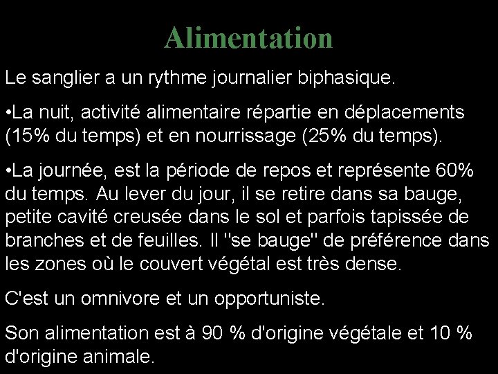 Alimentation Le sanglier a un rythme journalier biphasique. • La nuit, activité alimentaire répartie