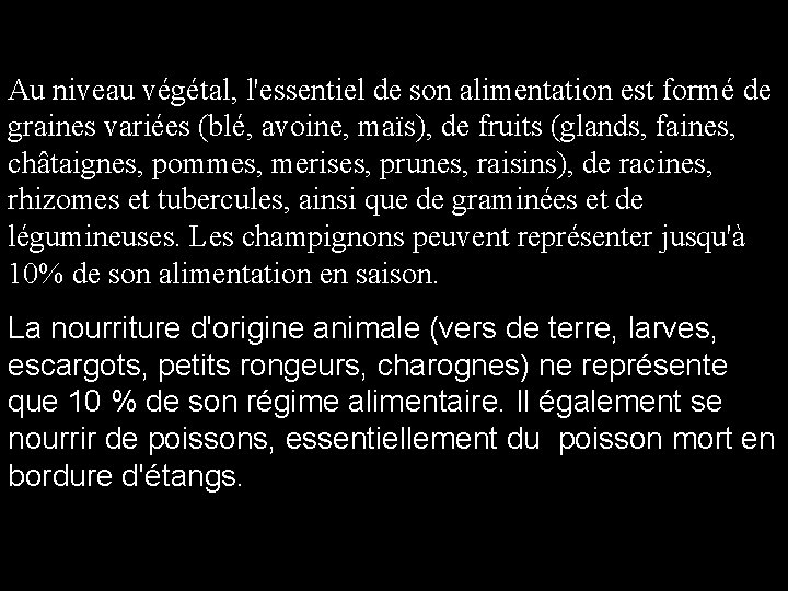 Au niveau végétal, l'essentiel de son alimentation est formé de graines variées (blé, avoine,