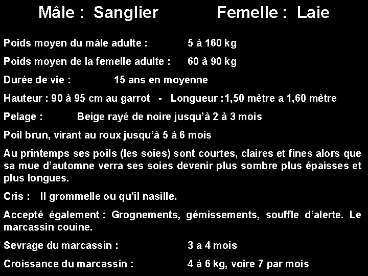 Mâle : Sanglier Femelle : Laie Poids moyen du mâle adulte : 5 à