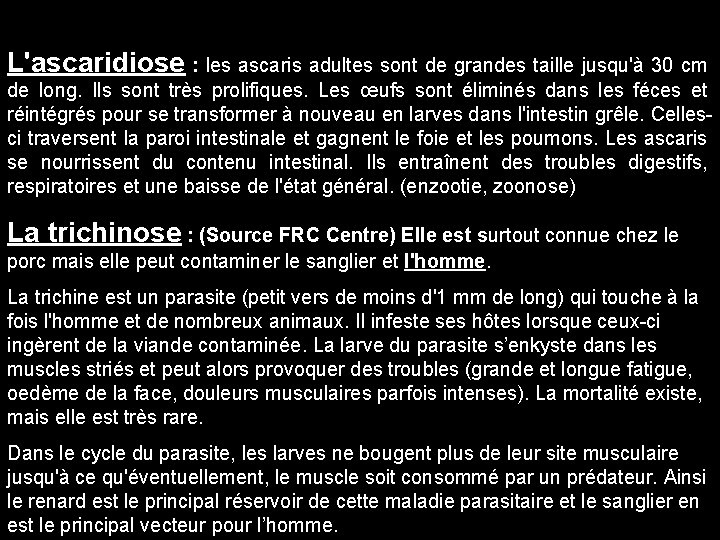 L'ascaridiose : les ascaris adultes sont de grandes taille jusqu'à 30 cm de long.