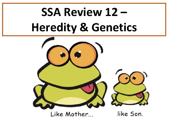SSA Review 12 – Heredity & Genetics 