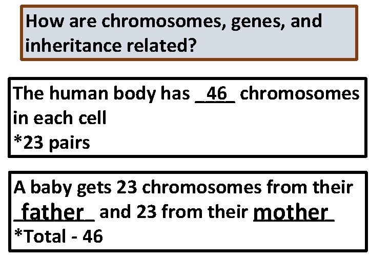 How are chromosomes, genes, and inheritance related? 46 chromosomes The human body has ____