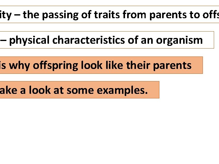 ity – the passing of traits from parents to offs – physical characteristics of