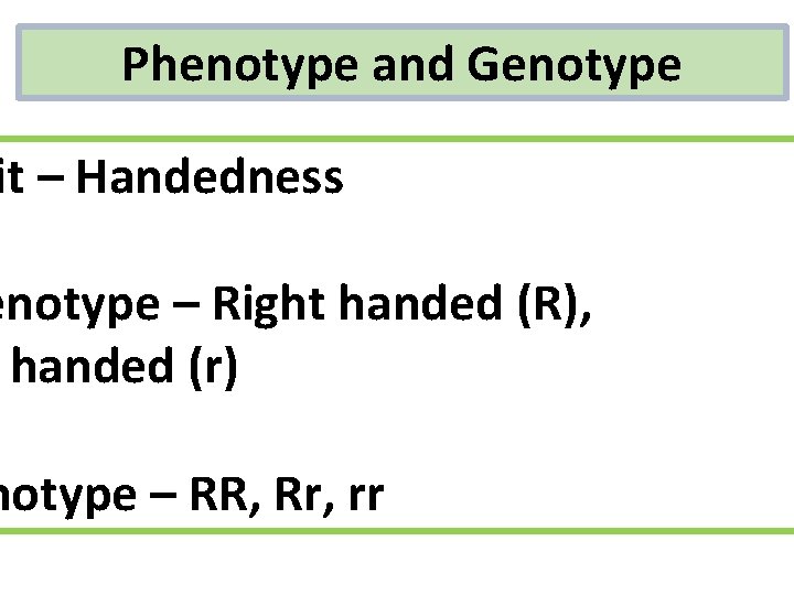 Phenotype and Genotype it – Handedness enotype – Right handed (R), handed (r) notype