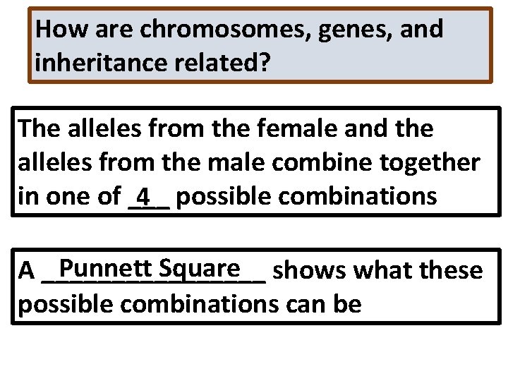 How are chromosomes, genes, and inheritance related? The alleles from the female and the